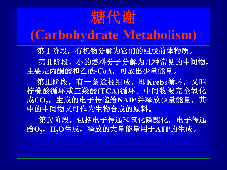 6糖脂代谢核酸蛋白质合成课件.ppt_第1页