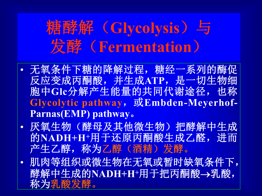 6糖脂代谢核酸蛋白质合成课件.ppt_第2页