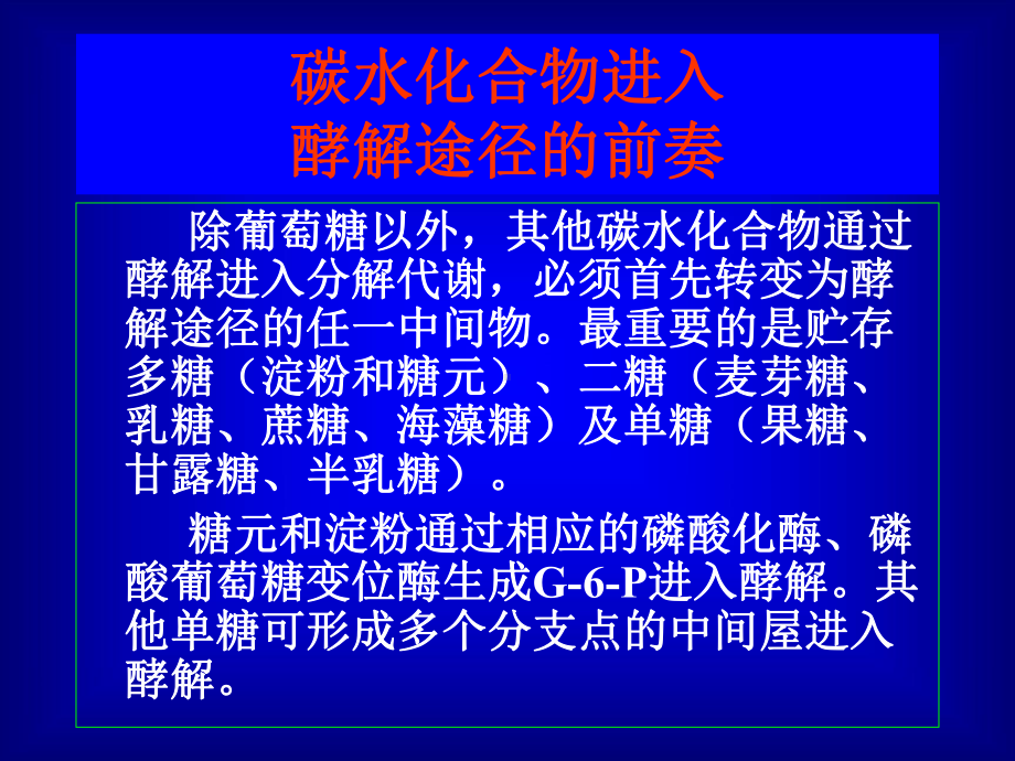 6糖脂代谢核酸蛋白质合成课件.ppt_第3页