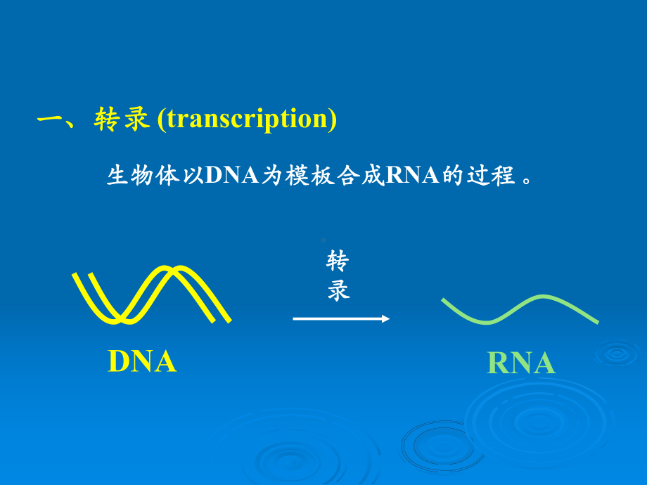 RNA的生物合成课件.ppt_第3页