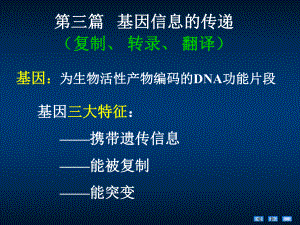 第12章DNA的生物合成(HDN).ppt课件.ppt