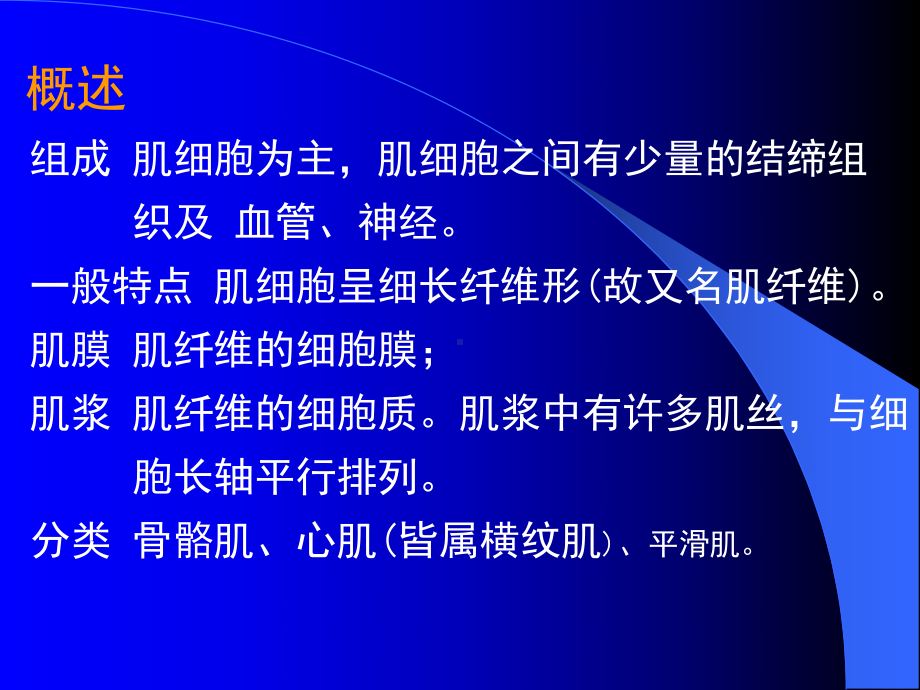 第六章肌组织课件.ppt_第2页