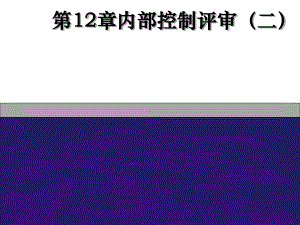 公司内部控制及内部控制审计管理知识分析(ppt85张)课件.ppt