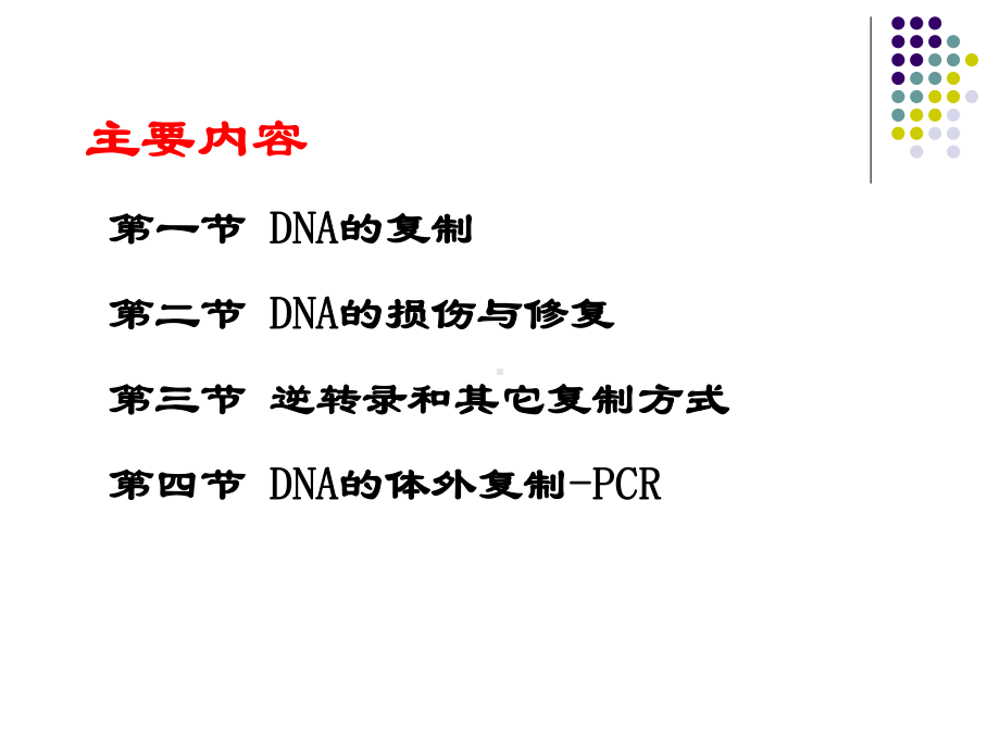 生物化学：第九章 DNA生物合成.ppt课件.ppt_第2页