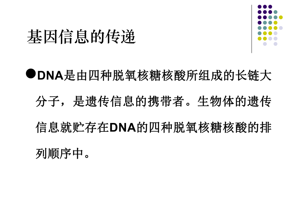 生物化学：第九章 DNA生物合成.ppt课件.ppt_第3页