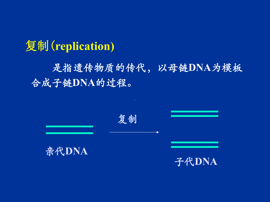 DNA的生物合成-复旦大学生物化学课件.ppt_第2页