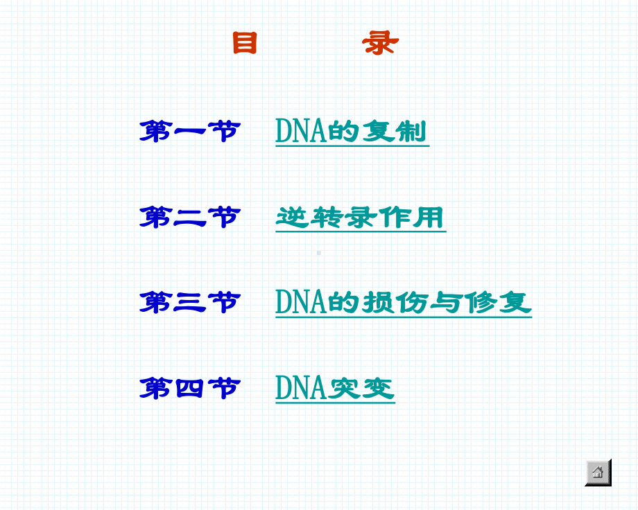 第十二章 09 DNA的生物合成课件.ppt_第3页