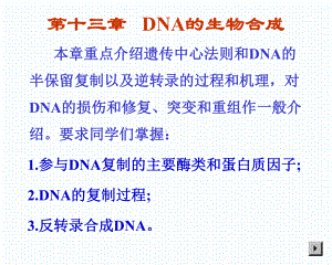 第十二章 09 DNA的生物合成课件.ppt