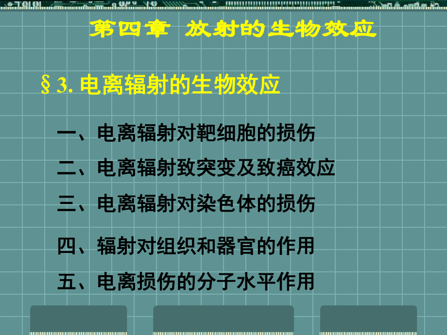 第3节电离辐射的生物效应课件.ppt_第1页