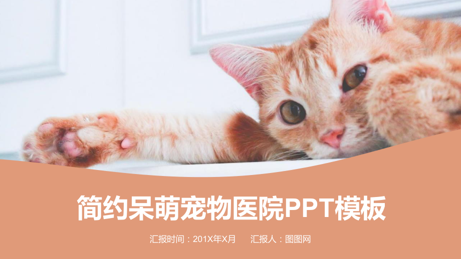 简约呆萌宠物通用PPT模板课件.pptx_第1页