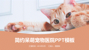 简约呆萌宠物通用PPT模板课件.pptx