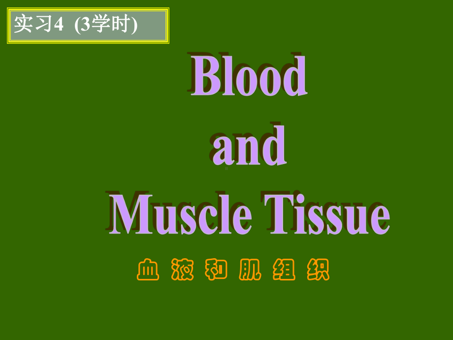 组织学与胚胎学实习4肌T和血液课件.ppt_第1页