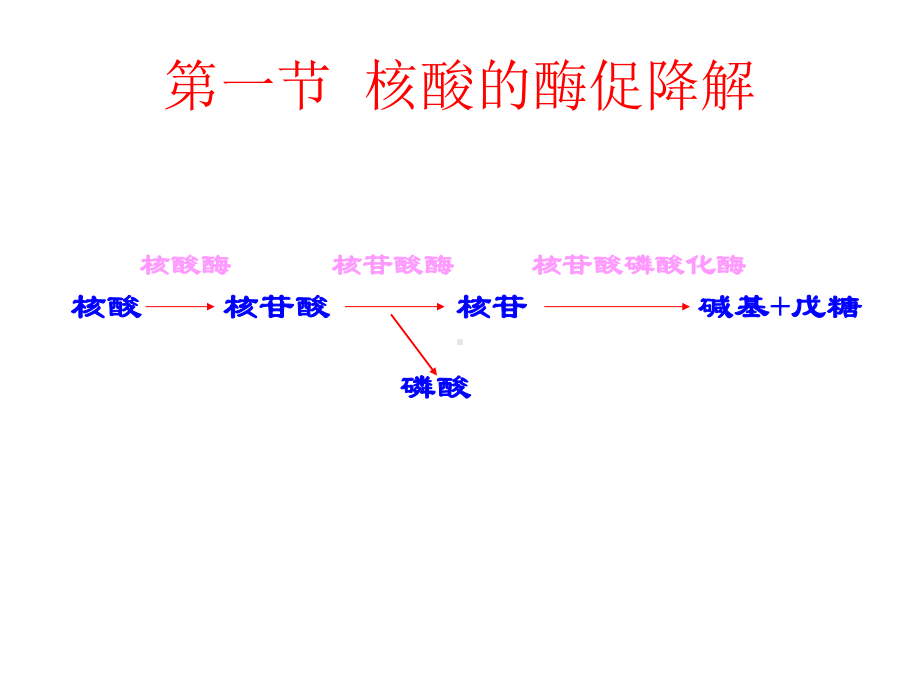 生物化学ppt第十章核酸的酶促降解和核苷酸代谢[设计]课件.ppt_第3页