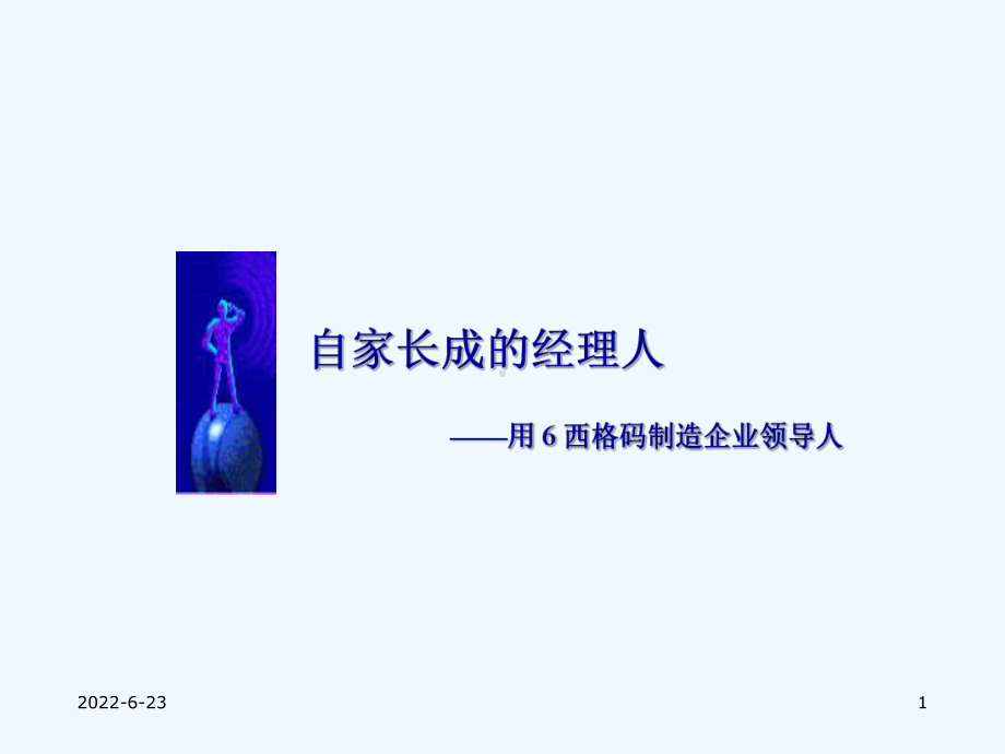 自家长成经理人-用西格码制造企业领导人课件.ppt_第1页