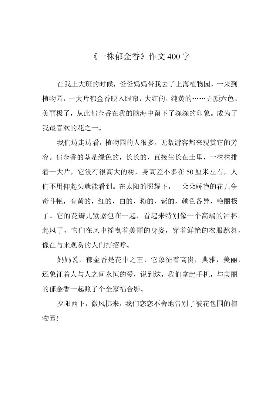 《一株郁金香》作文400字.docx_第1页