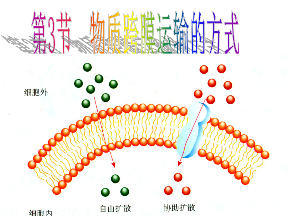 物质跨膜运输的方式ppt35-人教课标版课件.ppt_第1页