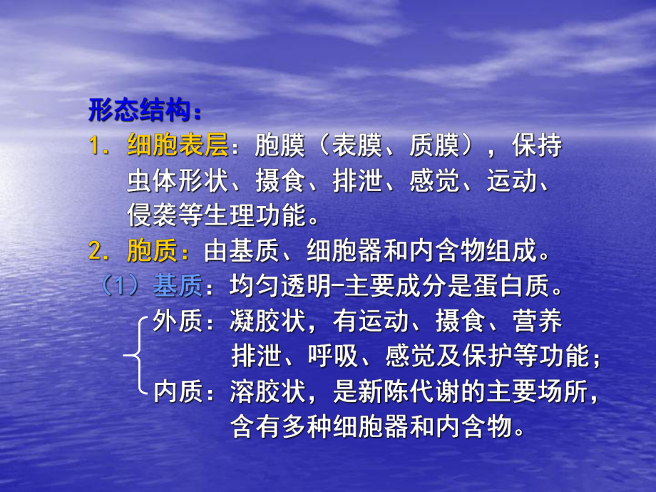 第十四节溶组织内阿米巴原虫概论课件.ppt_第2页