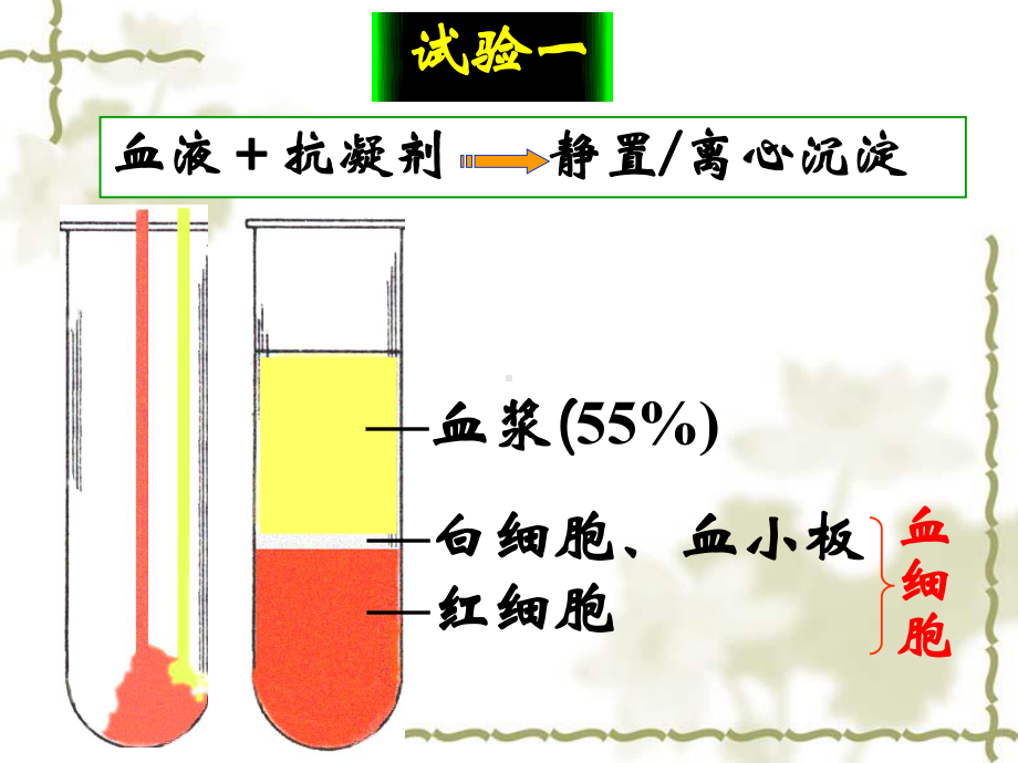 廖敏《组织学与胚胎学》第4章 血液课件.ppt_第3页