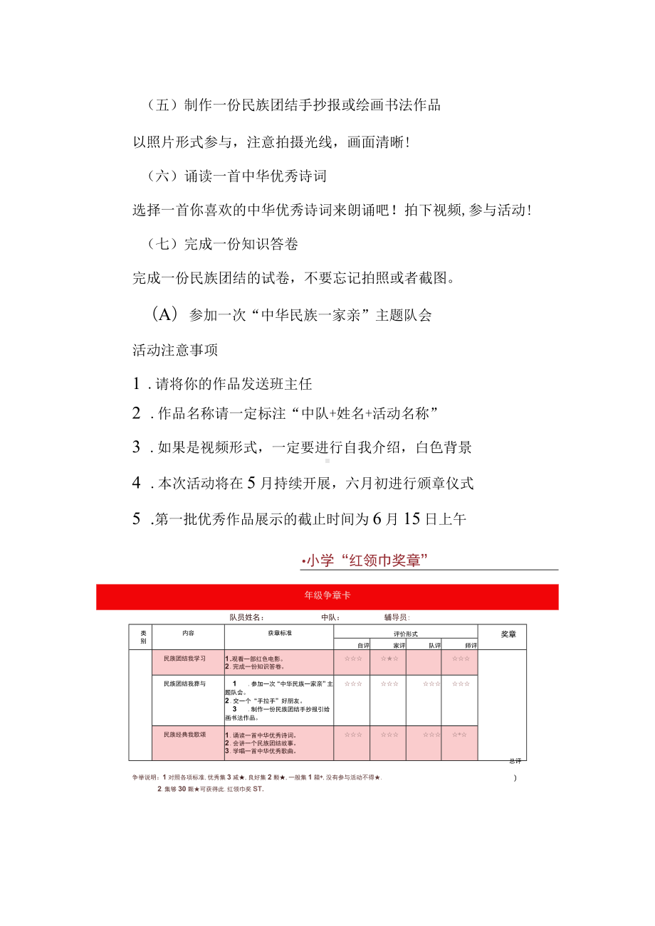 小学红领巾奖章争章活动民族团结“小石榴籽章”方案.docx_第2页