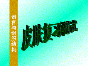 全国大部分高校医科大学组织胚胎学实验考试题目汇总ppt皮肤复习测试课件.ppt