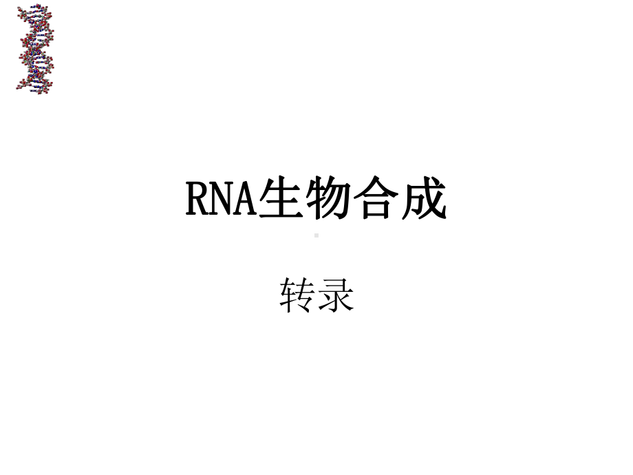 RNA生物合成课件.ppt_第1页