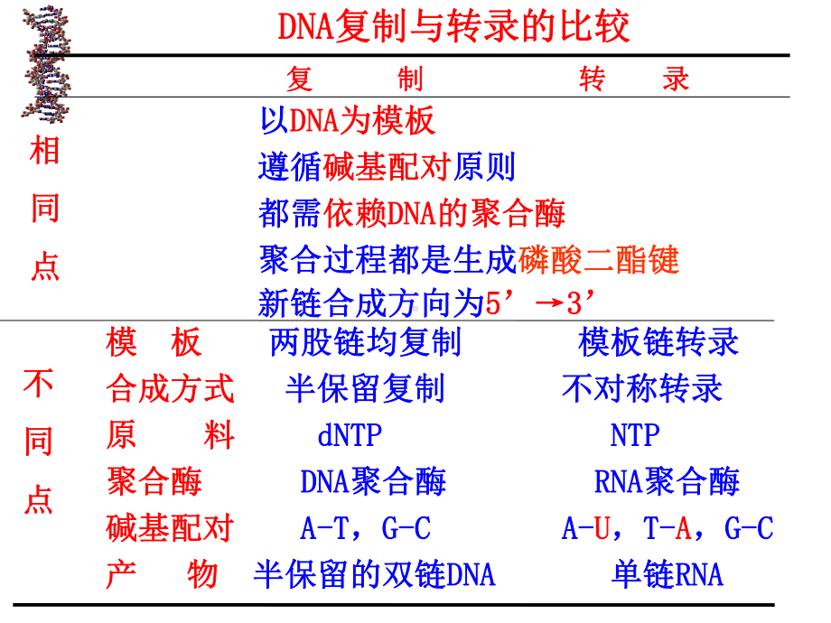 RNA生物合成课件.ppt_第3页