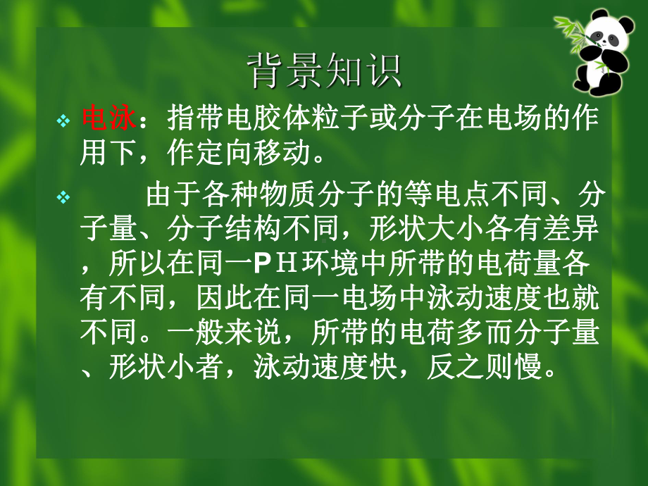 (修改)实验四Hb的醋酸纤维薄膜电泳与血清脂蛋白琼脂糖凝胶电泳课件.ppt_第2页