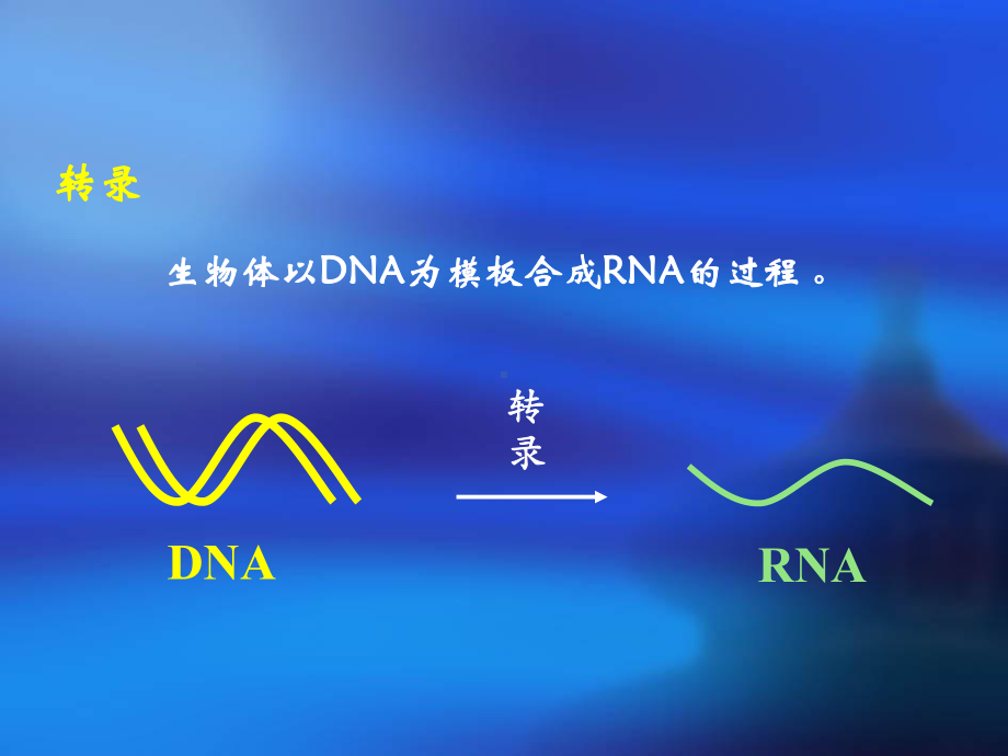 第八章RNA的生物合成 (转录).ppt课件.ppt_第3页