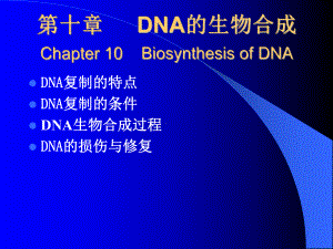 （精品）第十章 DNA的生物合成 Chapter 10 Biosynthesis of DNA78课件.ppt