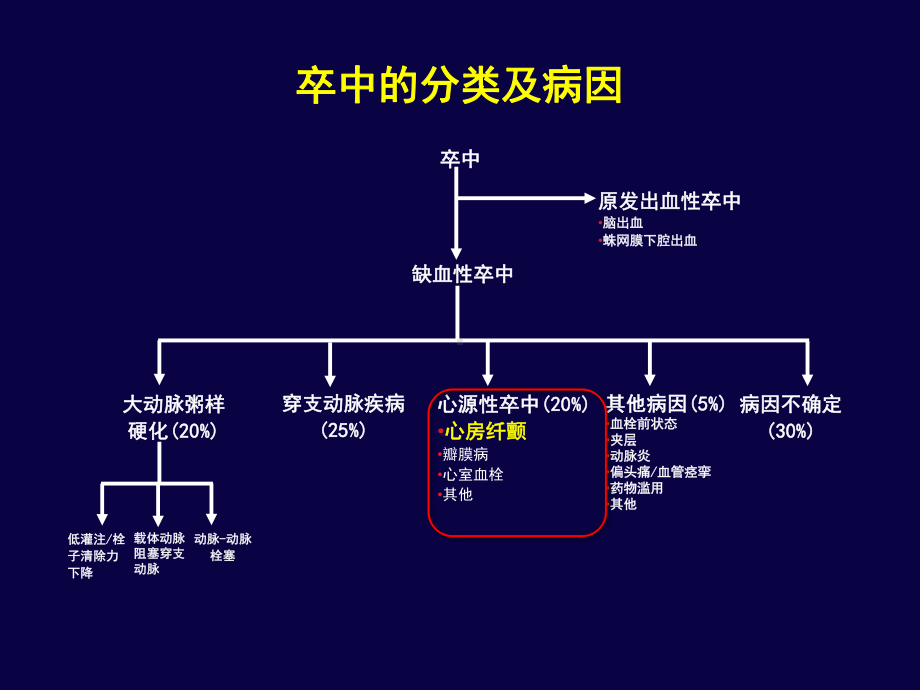 房颤卒中预防的危险分层及出血风险评估课件.ppt_第3页