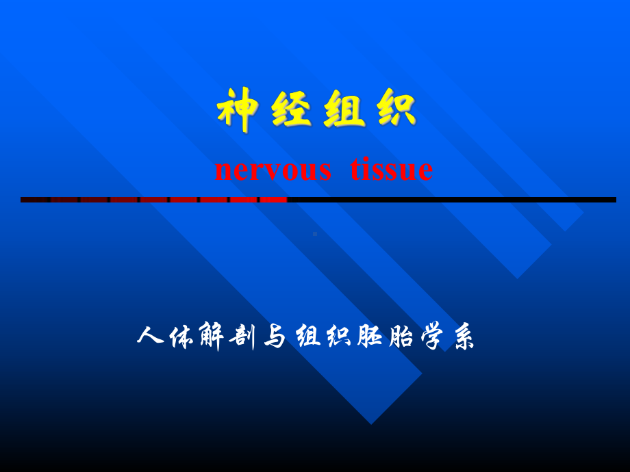 组织学与胚胎学神经组织(上)（精品PPT）课件.ppt_第1页