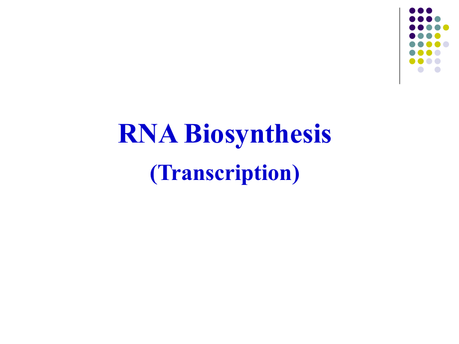 RNA Biosynthesis（transcription）RNA的生物合成课件.ppt_第1页