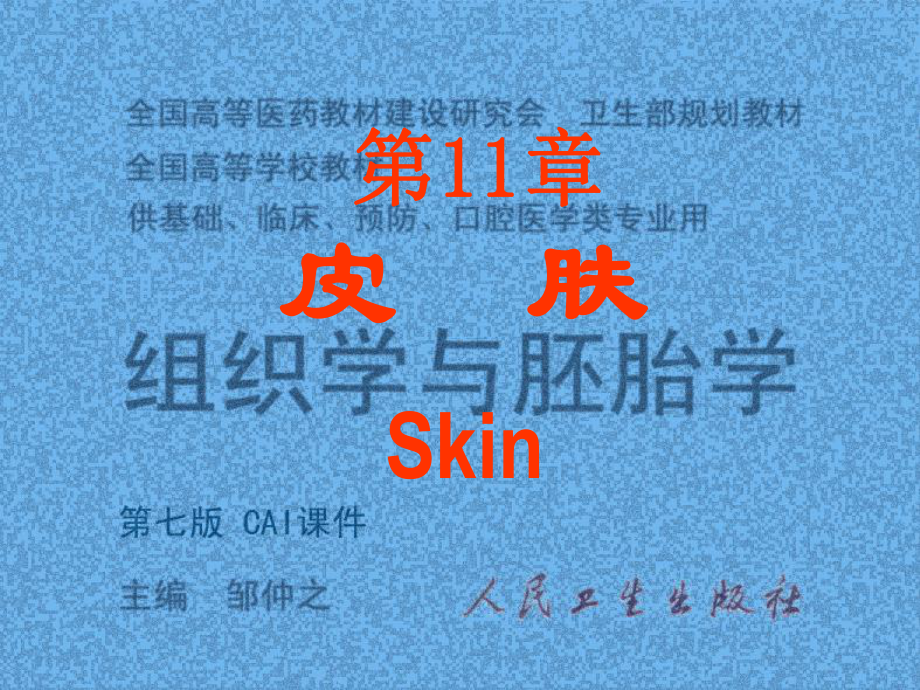 组织学与胚胎学-11皮肤课件.ppt_第1页