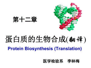 第十二章—蛋白质的生物合成.ppt课件.ppt