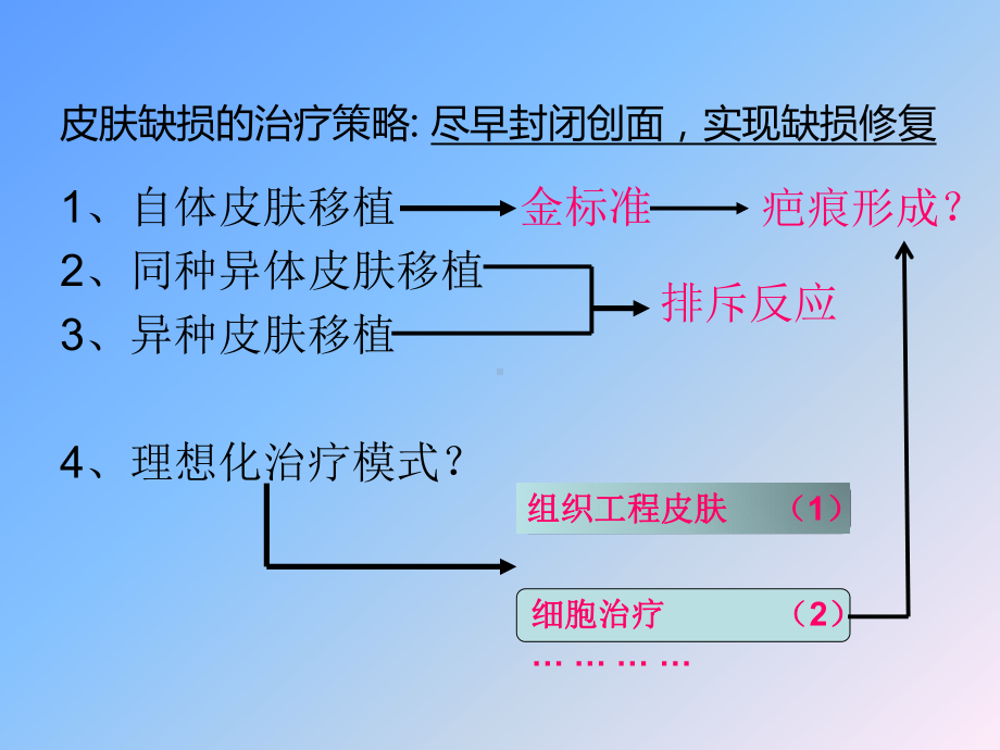 韩春茂-组织工程皮肤-浙江大学课件.ppt_第3页