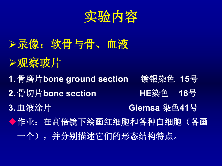 实验三、骨与血液 组织胚胎学课件.ppt_第3页