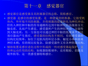 组织学与解剖学感觉器官（精品PPT）课件.ppt