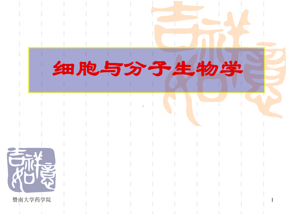 2 RNA的生物合成、转录后加工和调节.ppt课件.ppt_第1页