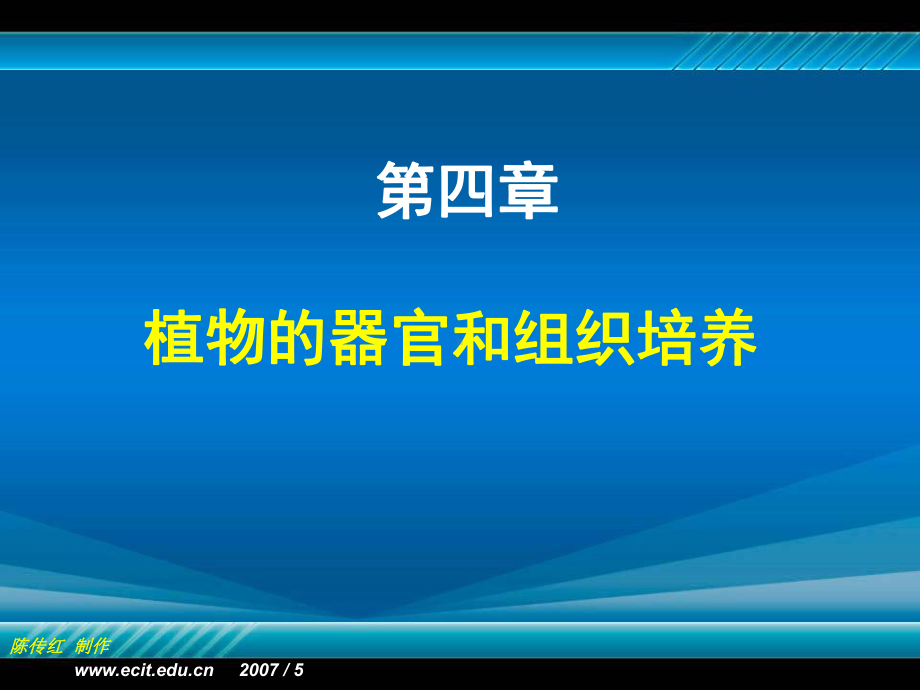 植物组织培养 第三章 植物器官和组织培养课件.ppt_第1页