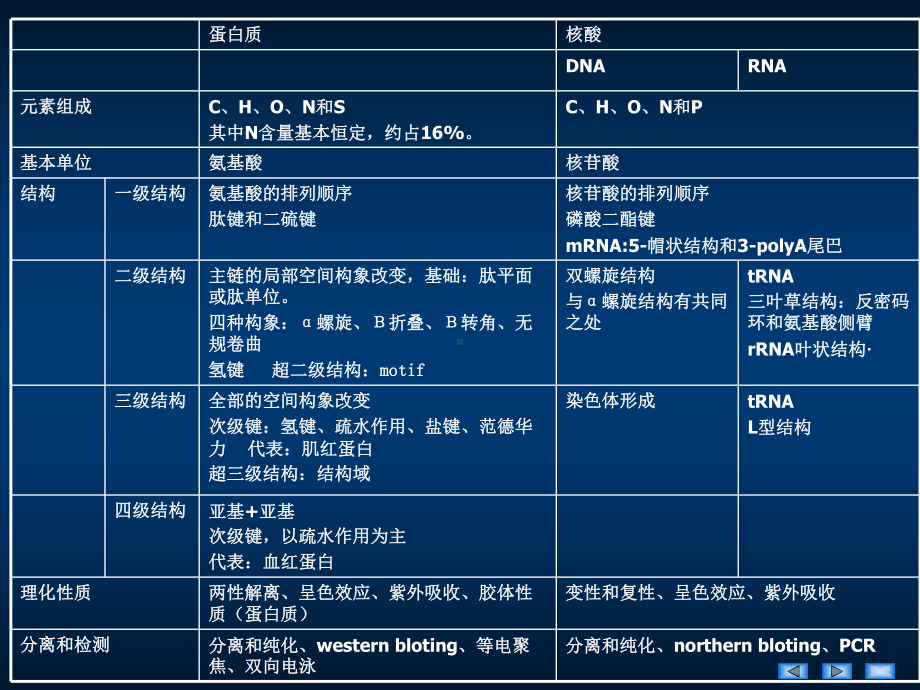 第章DNA的生物合成（PPT X页）课件.ppt_第1页