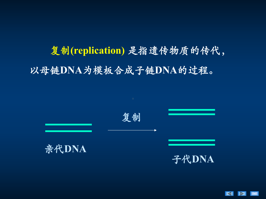 第章DNA的生物合成（PPT X页）课件.ppt_第3页