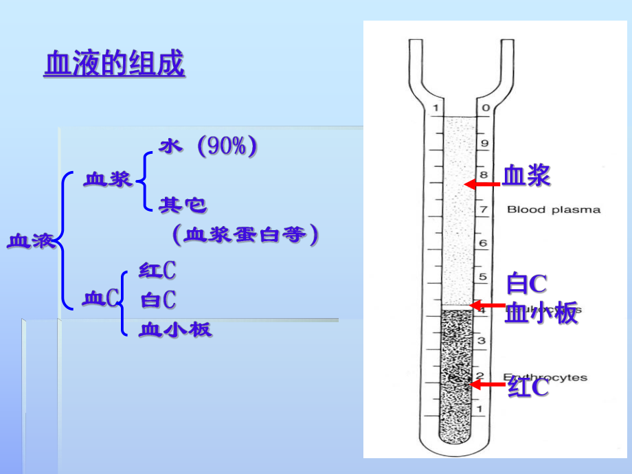 组织胚胎学-血液临本（PPT）课件.ppt_第1页