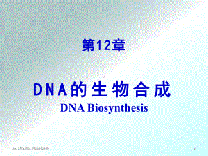 第12章 DNA的生物合成课件.ppt