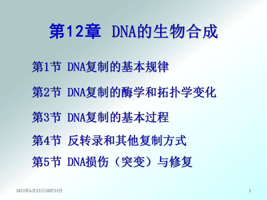 第12章 DNA的生物合成课件.ppt_第2页