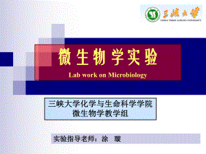 酵母形态观察及死活细胞鉴别微生物大小测定显微镜直接计数法课件.ppt