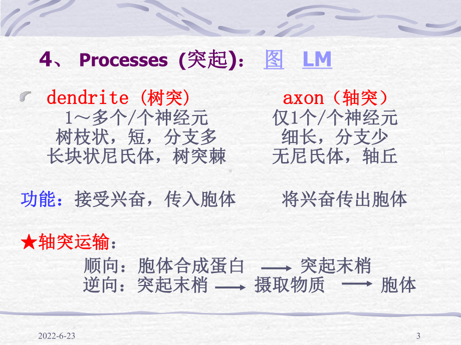 组织胚胎第7版 神经组织课件.ppt_第3页