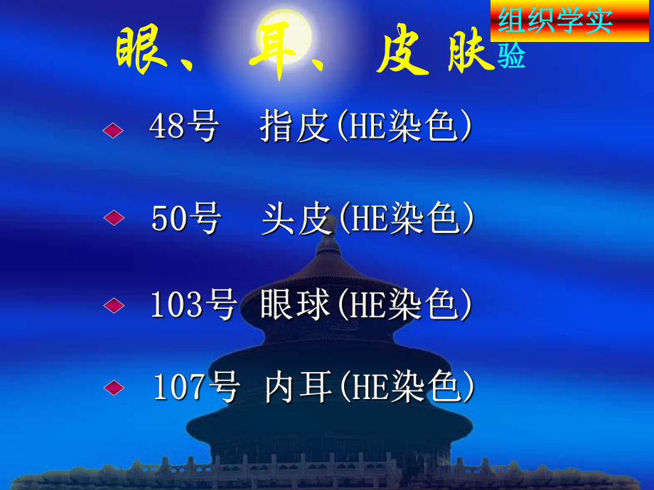 组织学与胚胎学实验考试14 眼、耳、皮肤课件.ppt_第2页