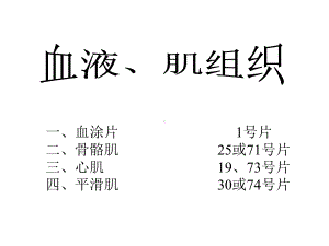 组织学与胚胎学实验课复习资料-血液、肌组织课件.ppt