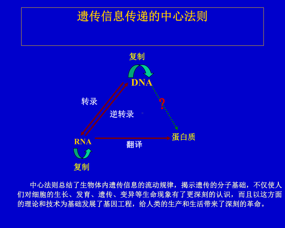 第十二章 DNA的生物合成.ppt课件.ppt_第3页