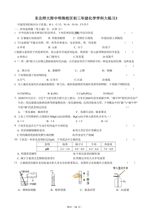 吉林省东北师大附 明珠校区2021-2022学年九年级下学期化学大练习3.docx